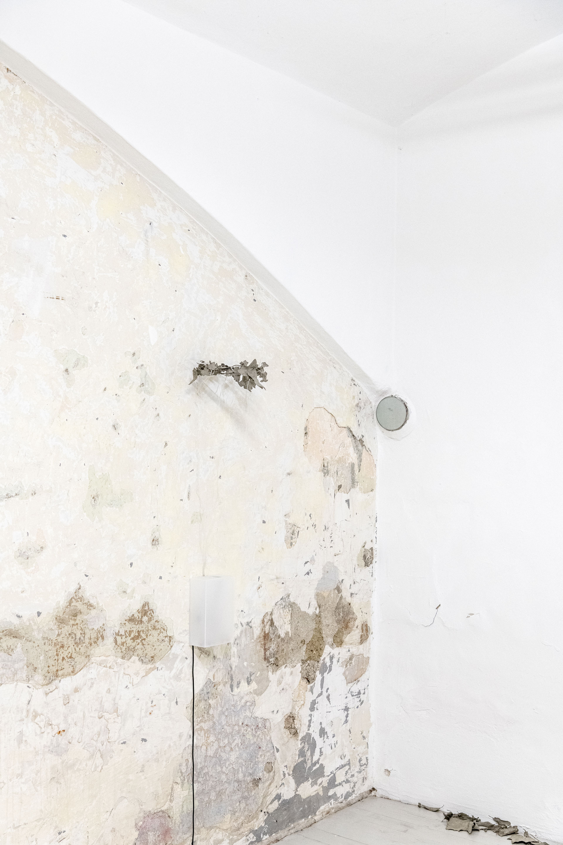 Anzhelika Palyvoda. Trostspender, Dried plants, concrete, plexiglass, cable, led lights, electronics, technical assistance David Ackerl 23 x 15 x 9 cm / d 28 cm, 2025