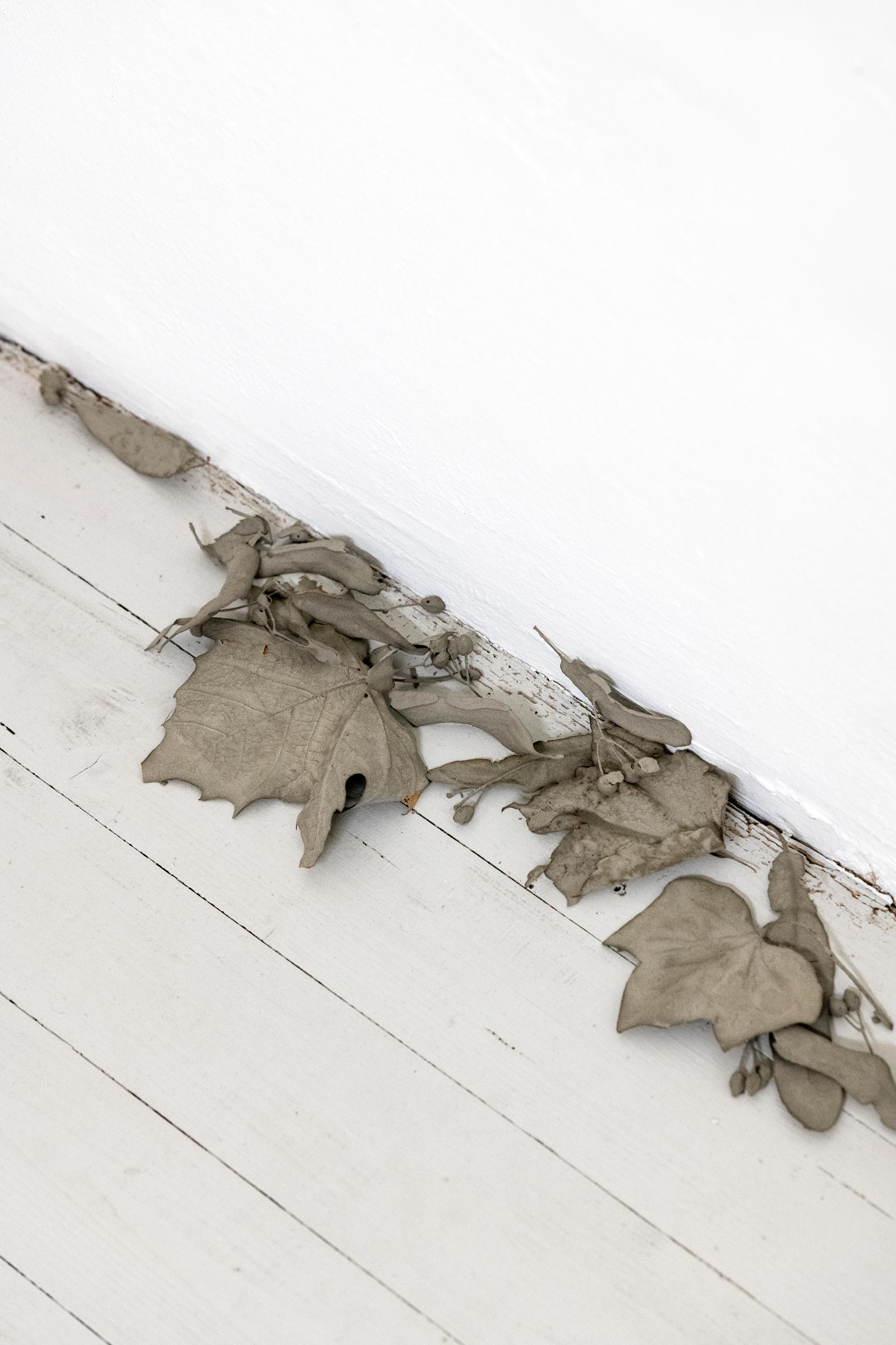 Anzhelika Palyvoda. Whitness, size varies dried plants, concrete, 2025. Close-up