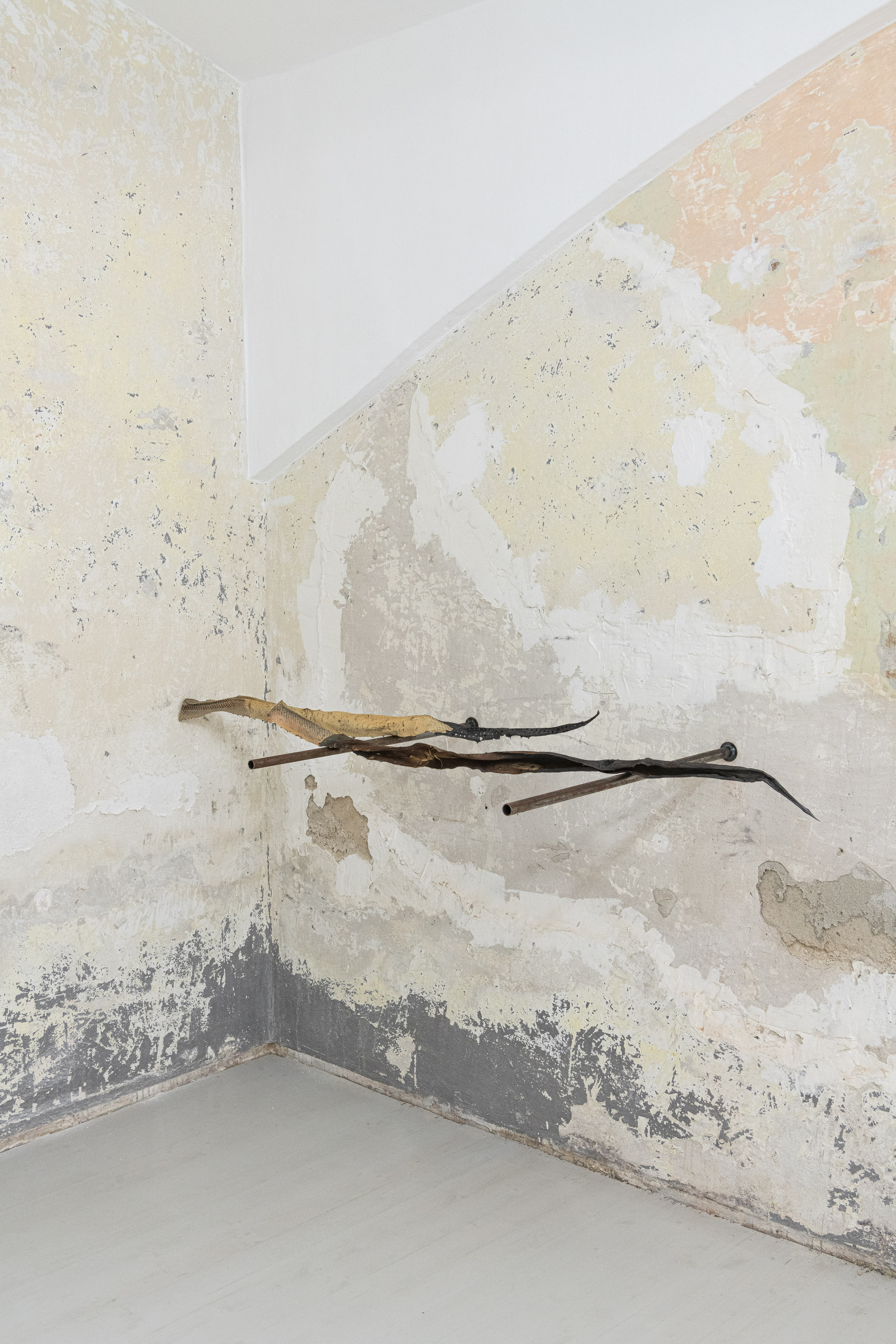 Maxine Weiss, 'Paraconsistent', Agave, 190.7 x 42 x 17 cm, 2024  