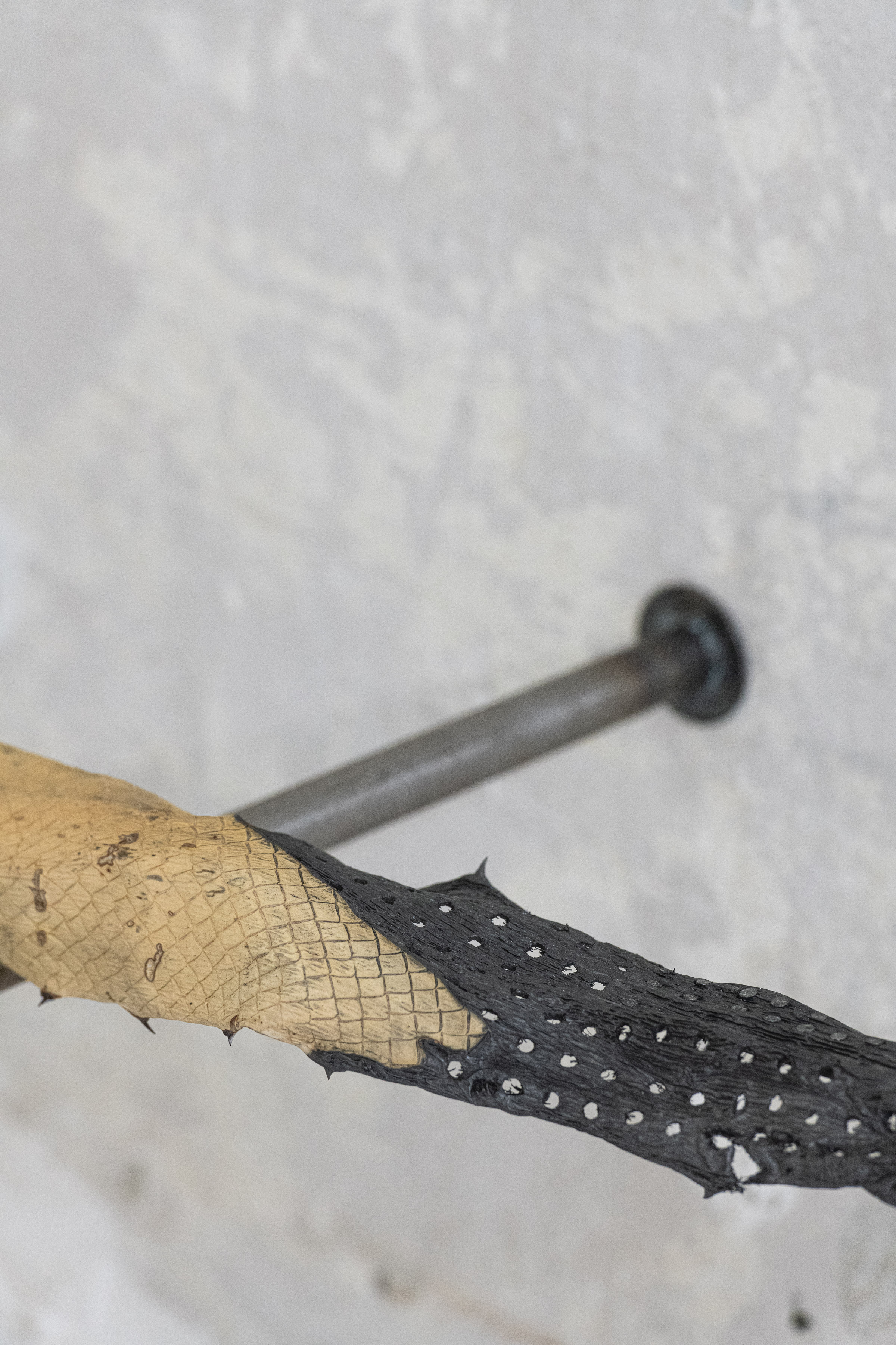 Maxine Weiss, 'Paraconsistent', Agave, 190.7 x 42 x 17 cm, 2024  